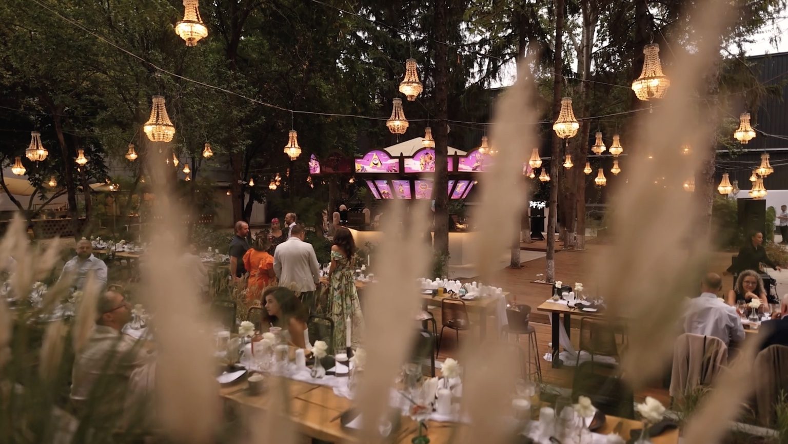 The garden — outdoor